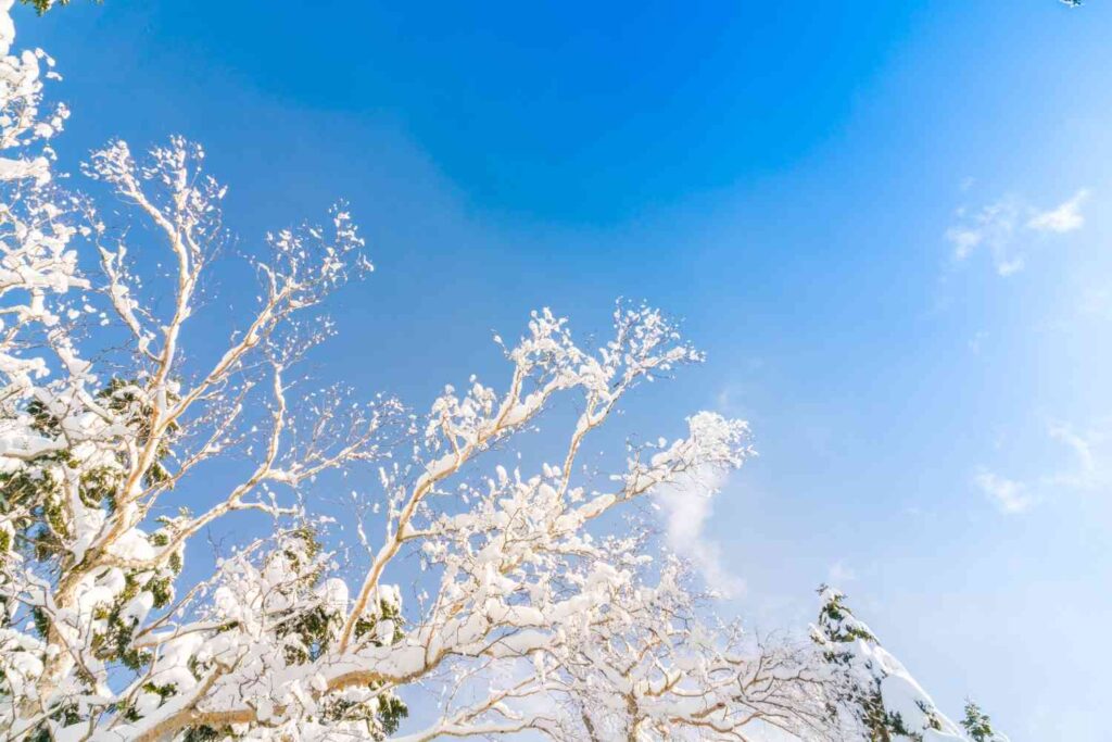 A refreshing winter walk in the snow to reset your mind during the 30-Day Winter Self-Care Challenge.