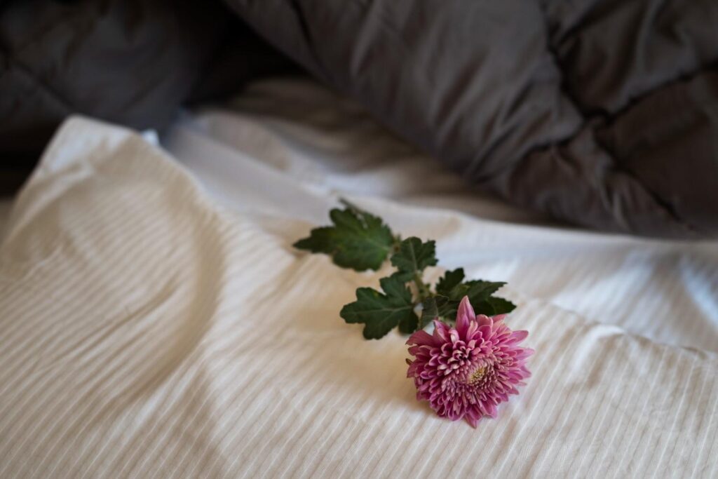 Transform your bedroom into a sleep sanctuary for better rest and wellness—cozy bedding and soothing décor.