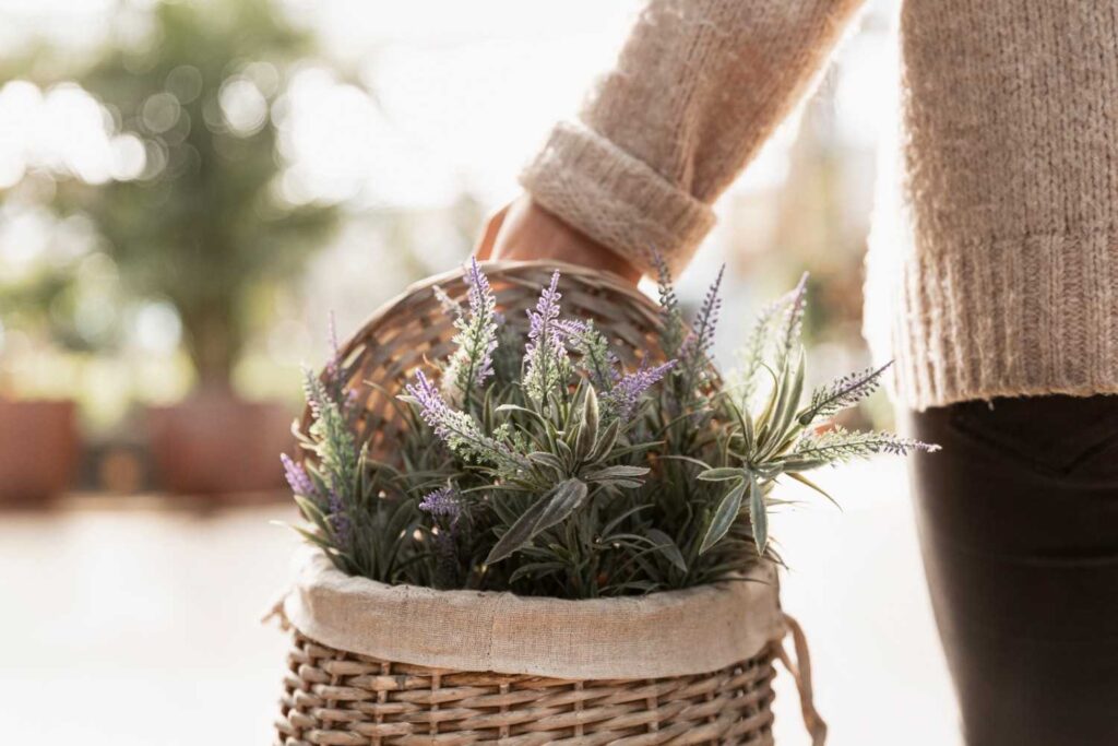 Small terracotta pots with fresh green herbs growing on a bright white windowsill, showing a simple spring herb garden idea.