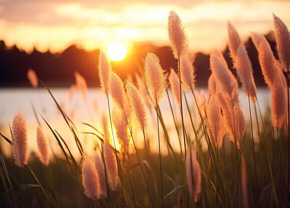 25 Inspiring August Quotes